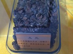 -上海昆虫博物馆