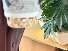 -纽巷咖啡 SOFTFOCUS COFFEE(锦和巴黎时韵店)