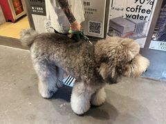 -KUDDO COFFEE(天河城店)
