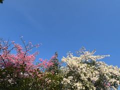 -映月湖公园