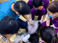 -创凡宠物医院·骨专科  猫科中心(西乡分院)