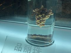 -青岛葡萄酒博物馆