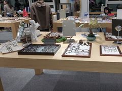 -Eziwish眼镜·蔡司授权店