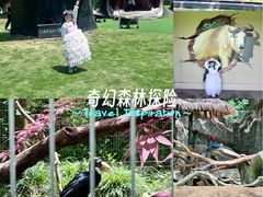 -宁波野生动物园