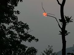 -风云岭森林公园