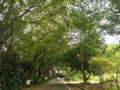 -广州市石门国家森林公园
