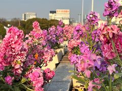 -相门城墙文化休闲景区