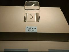 -西安大唐西市博物馆