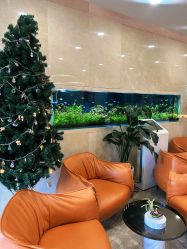 -臻悦医疗美容整形门诊部