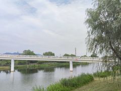 -羊亭河湿地公园