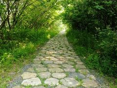 -盘龙城国家考古遗址公园