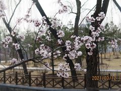 -迎泽公园