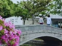 -蠡湖大桥公园