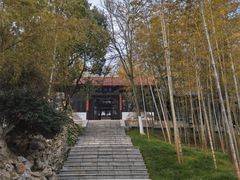 -求雨山文化公园