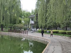 -团结湖公园