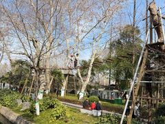 -张正麻辣串(宿州路店)