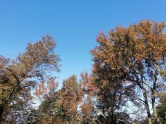 -广州市石门国家森林公园