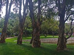 -五邑大学