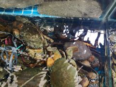 -无锡天鹏食品城