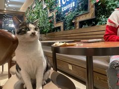 -Peet's Coffee皮爷咖啡(豫园店)