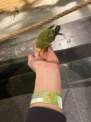 -酷嗒动物文化乐园(cutezoo西溪乐天城店)