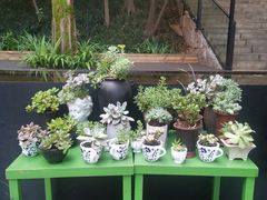 -箱美术馆私房菜(水晶郦城店)