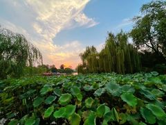 -济南大明湖景区