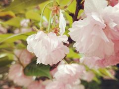 -长沙市青少年宫