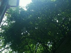 -上海孙中山故居纪念馆