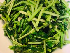 -香巴拉云南餐厅(华莱坞店)