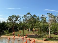 -海南热带野生动植物园