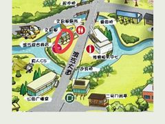 -上海滨江森林公园