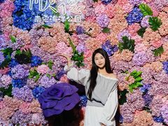-顺德南宏海立方海洋公园