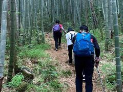-鸡枕山