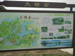 -大塘金香草谷
