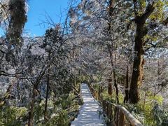 -龙苍沟森林公园