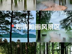 -东湖落雁景区