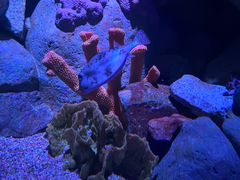 -新加坡海洋生态馆