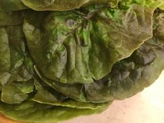 波士顿生菜-福云龙(黄河南大街店)