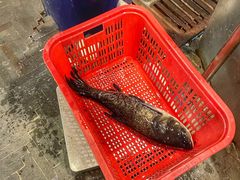 -鱼头泡饭·湖北菜·非物质文化遗产(岳家嘴总店)