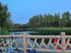 -昆山城市生态森林公园