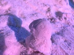 -顺德南宏海立方海洋公园