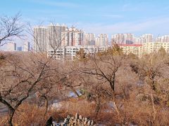-齐齐哈尔龙沙动植物园