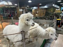 -上海昆虫博物馆