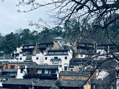 -婺源风景区
