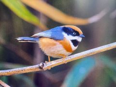 -白塘生态植物园