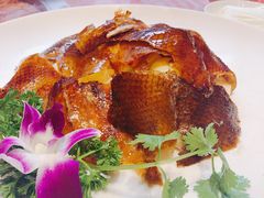 -新世纪大酒楼·30年南海菜