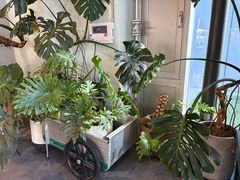 -dotcom coffee古点咖啡(致真大厦店)
