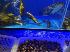 -布多斯烤肉火锅自助(江腾广场店)