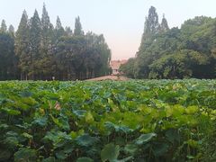 -西南交通大学(九里校区)